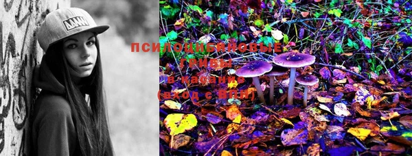 таблы Пролетарск