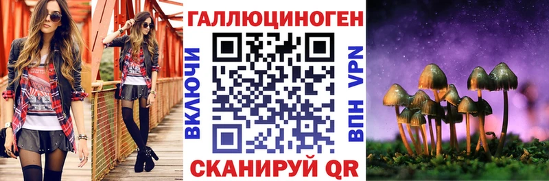 Купить  Горячеводский  Галлюциногенные грибы Cubensis 